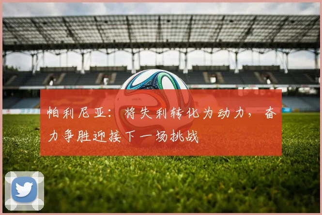 帕利尼亚：将失利转化为动力，奋力争胜迎接下一场挑战
