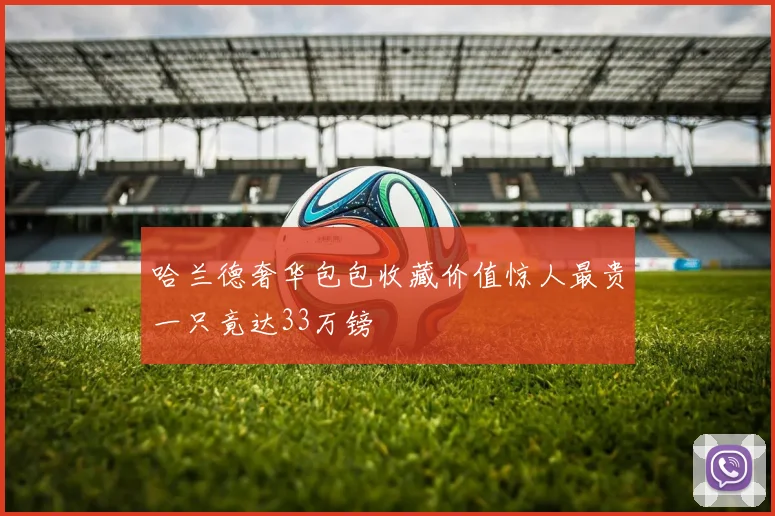 哈兰德奢华包包收藏价值惊人最贵一只竟达33万镑