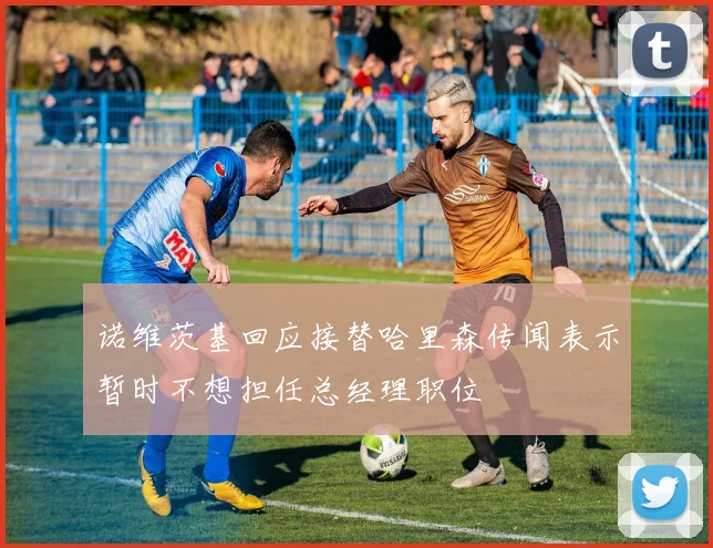 诺维茨基回应接替哈里森传闻表示暂时不想担任总经理职位