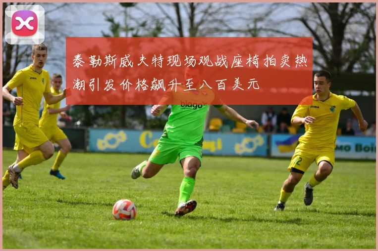 泰勒斯威夫特现场观战座椅拍卖热潮引发价格飙升至八百美元